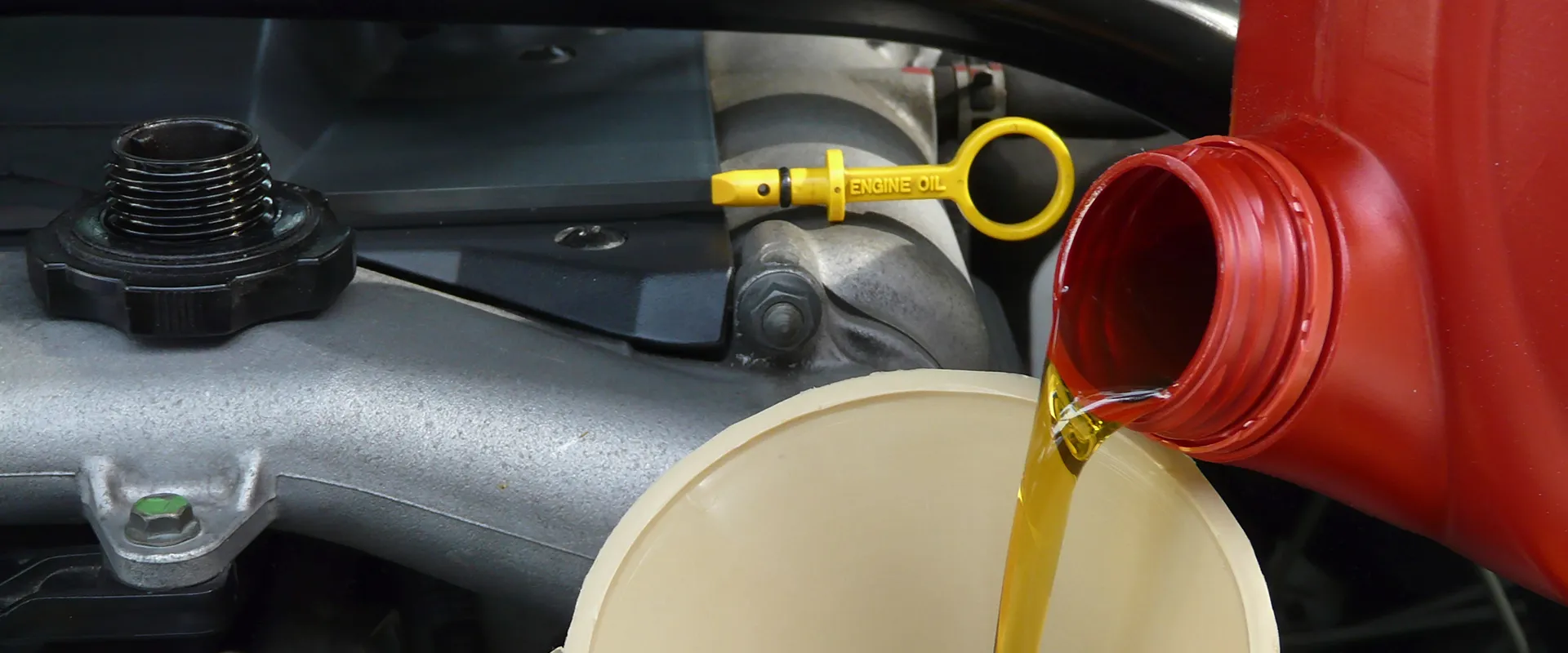 Oil Changes near Saint Petersburg, FL