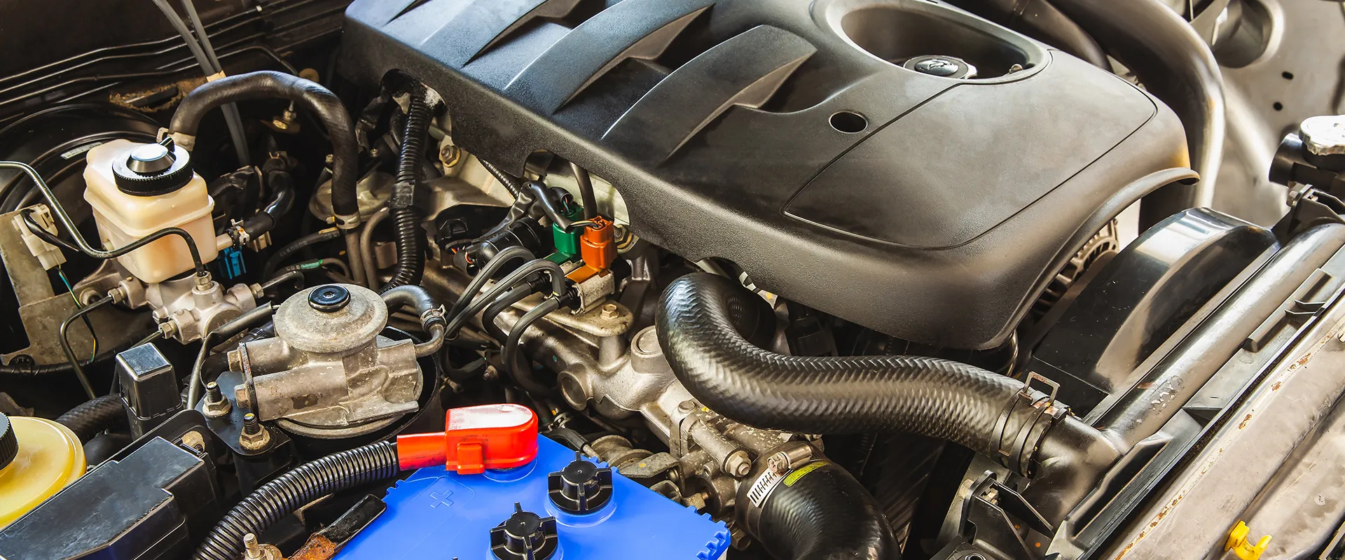Diesel Repair near Saint Petersburg, FL