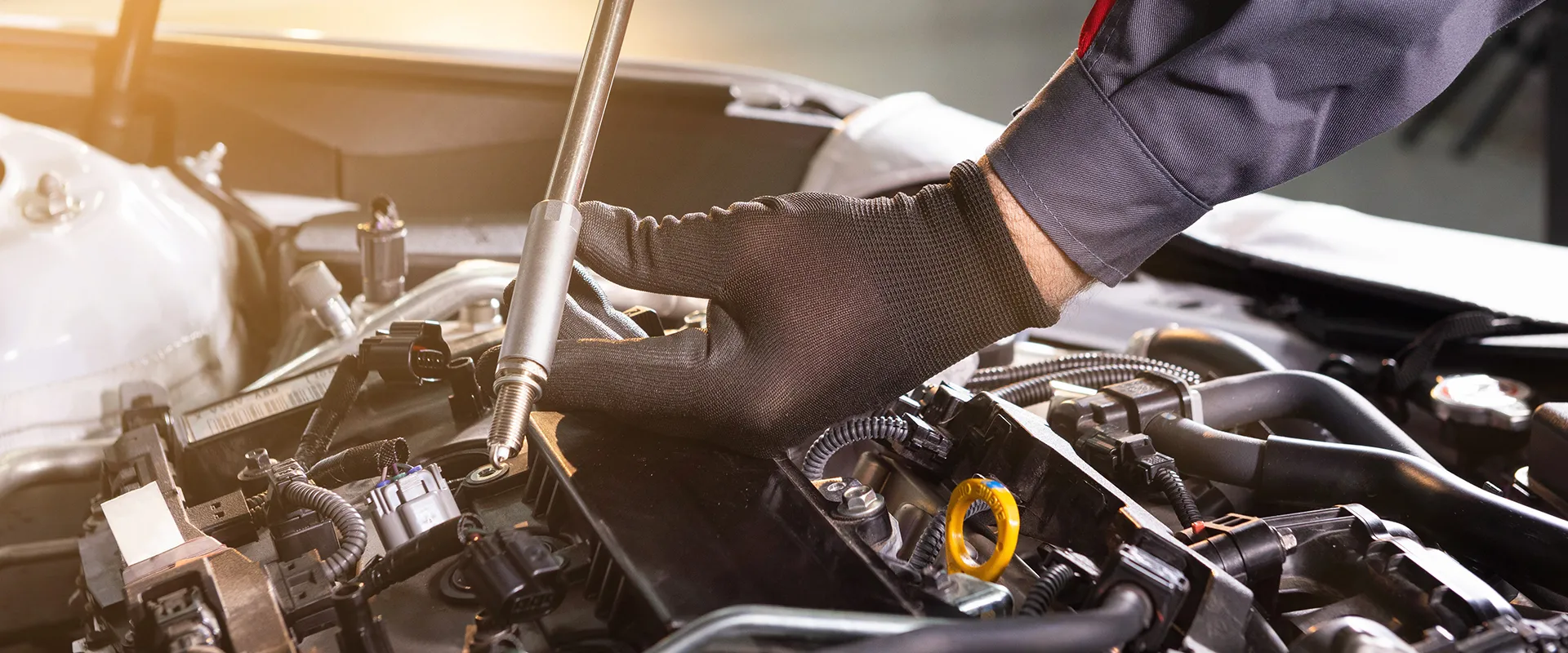 Engine Repair near Saint Petersburg, FL