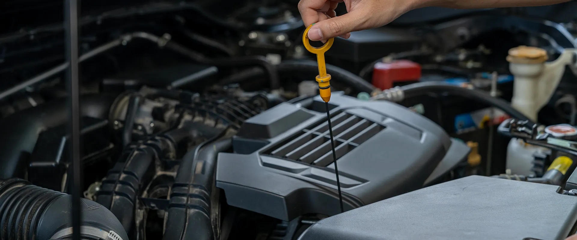 Oil Changes near Saint Petersburg, FL